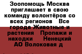 Зоопомощь.Москва приглашает в свою команду волонтёров со всех регионов - Все города Животные и растения » Пропажи и находки   . Ненецкий АО,Волоковая д.